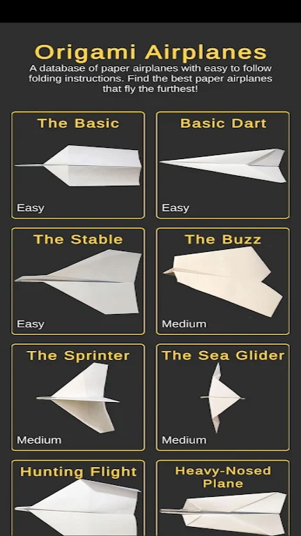 Origami paper airplane ภาพหน้าจอ 1