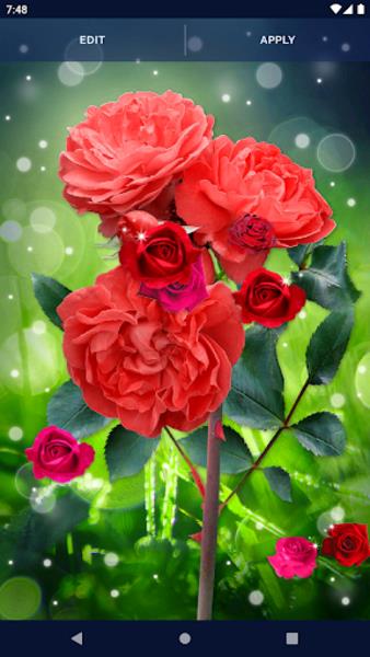 Red Rose Live Wallpaper Скриншот 0