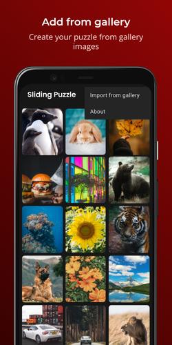 Sliding Puzzle Zrzut ekranu 3