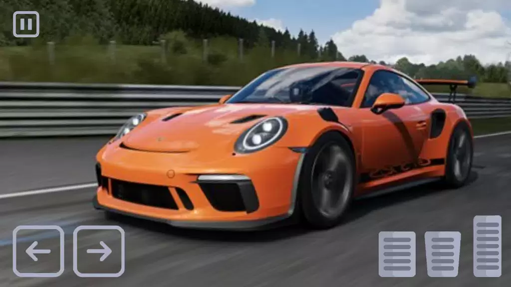 Racing Porsche Carrera 911 GT3 Schermafbeelding 0