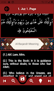 The Holy Quran and its Meaning Zrzut ekranu 3