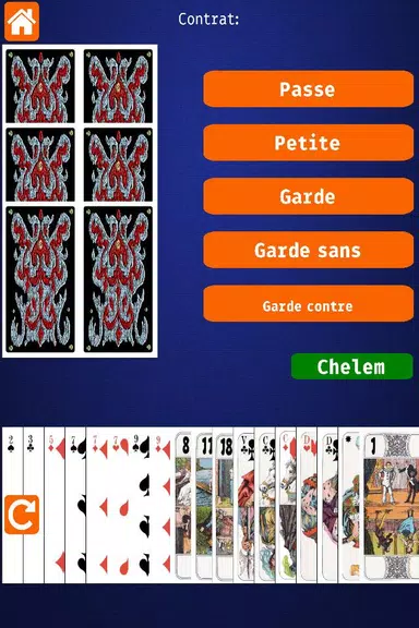 Net.Tarot Schermafbeelding 1