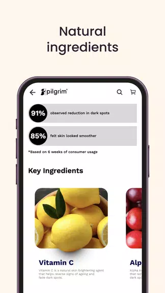 Pilgrim India應用截圖第3張