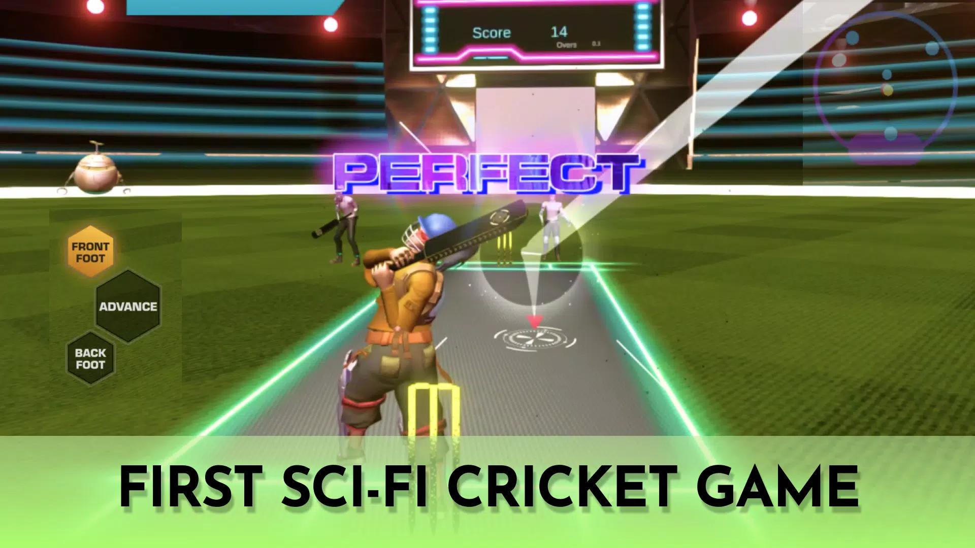 Cricket Fly Screenshot 0