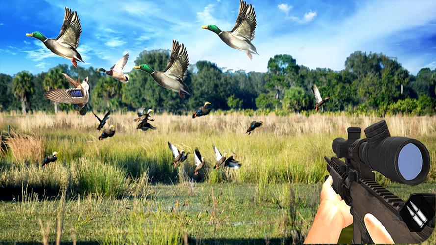 Duck Hunting Challenge Screenshot 1