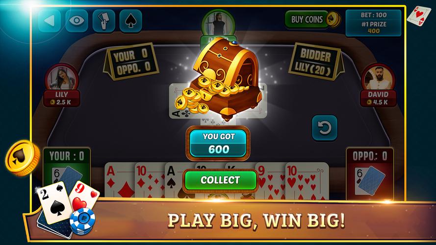 29 Card Game Plus ภาพหน้าจอ 2