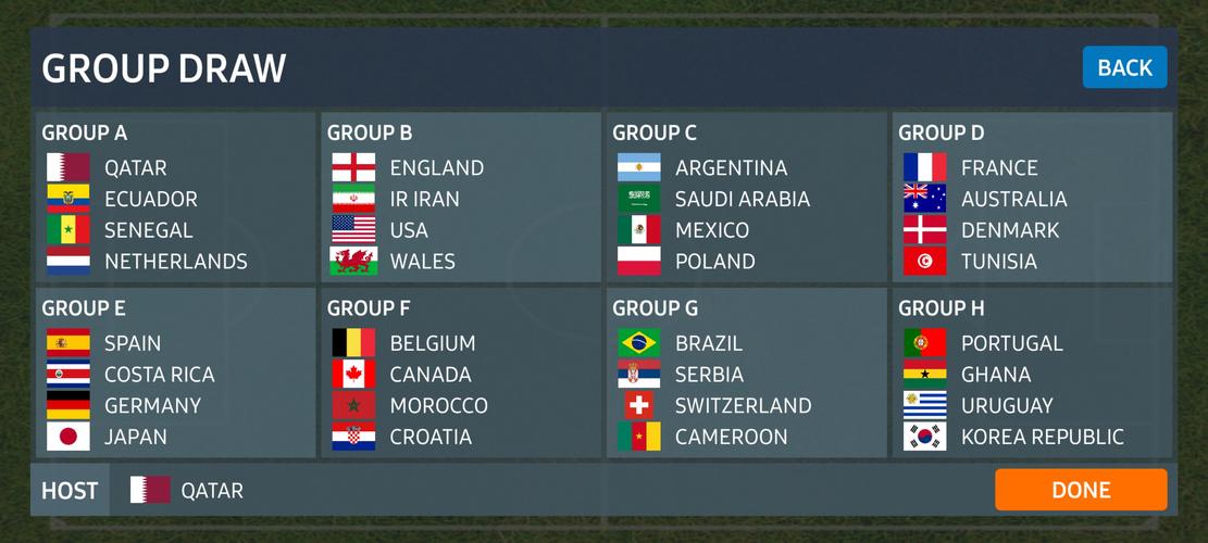 World Football Simulator স্ক্রিনশট 1