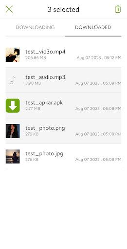 Download Manager For Android应用截图第0张