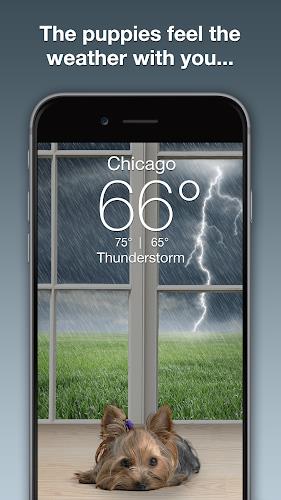 Weather Puppy - App & Widget ဖန်သားပြင်ဓာတ်ပုံ 1