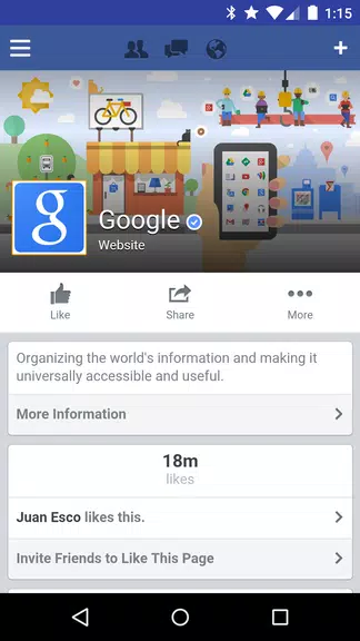 Tinfoil for Facebook應用截圖第0張