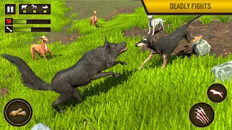 Wild Dog Pet Simulator Games ဖန်သားပြင်ဓာတ်ပုံ 3