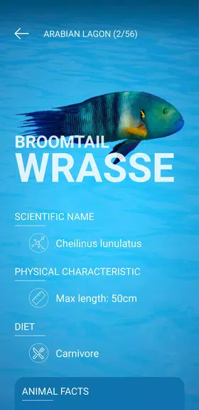 The National Aquarium应用截图第2张