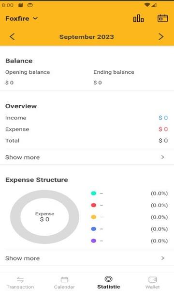 Manage your Money Schermafbeelding 1