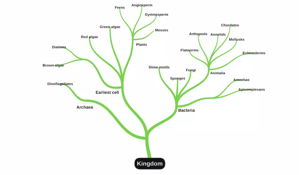 Schermata miMind - Easy Mind Mapping 1
