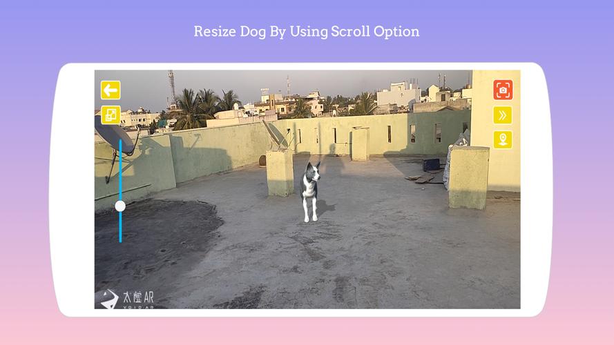 Dog play Ar應用截圖第2張