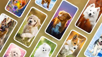 Dog Wallpapers & Puppy 4K应用截图第0张