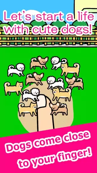 Play with Dogs - relaxing game スクリーンショット 0