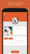 Schermata Hashdog - Dog's social network 1