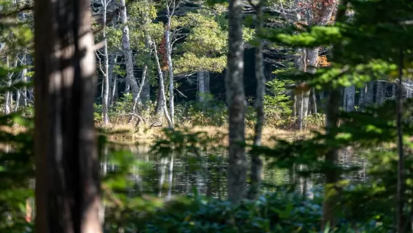 Ghost of Yotei Set in Hokkaido For Its Sense of Danger and Beauty