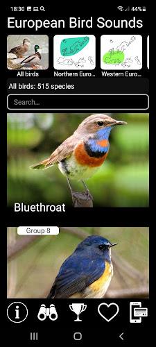 European Birds Songs & Calls ภาพหน้าจอ 0