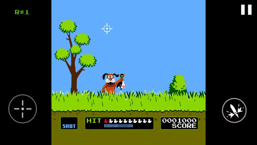Schermata Duck Hunt 1
