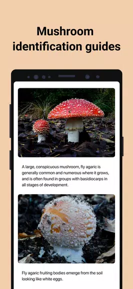 Picture Mushroom - Mushroom ID Screenshot 3