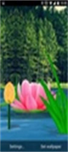 Flower Live Wallpaper 3D 스크린샷 1