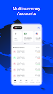 Wirepay - Global Payments Screenshot 0