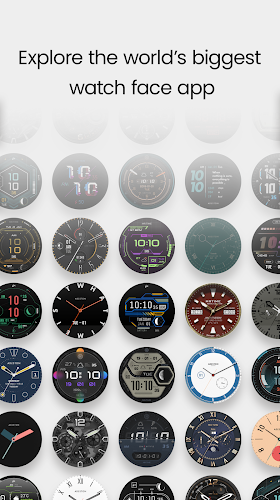 Schermata TIMEFLIK Watch Face 1