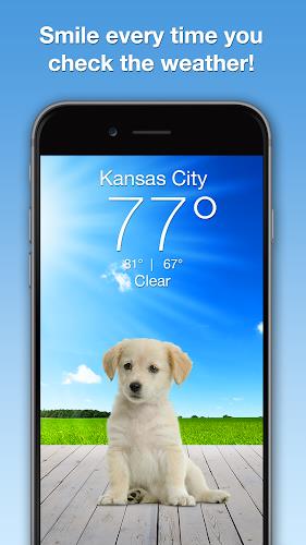 Weather Puppy - App & Widget Ekran Görüntüsü 0