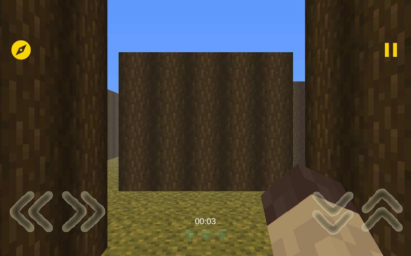 Schermata Mine Maze 3D 0