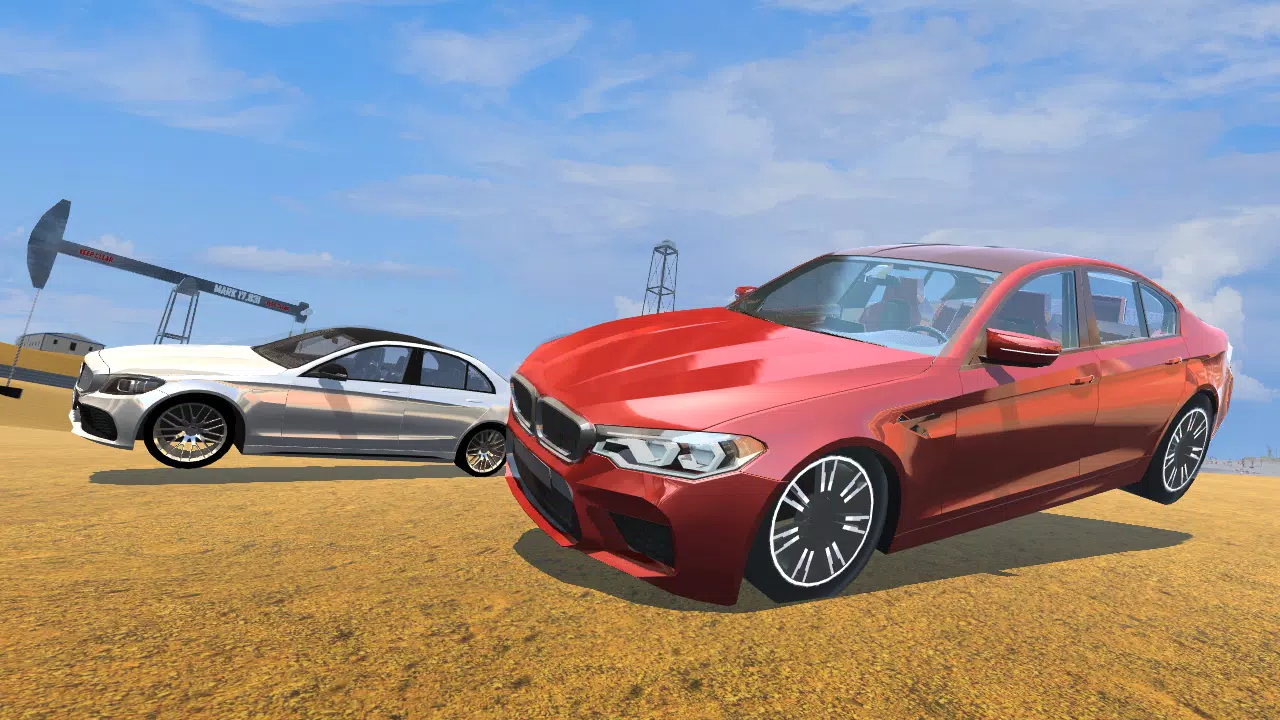 CarSim M5&C63 स्क्रीनशॉट 3