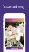 InstaSave ဖန်သားပြင်ဓာတ်ပုံ 1