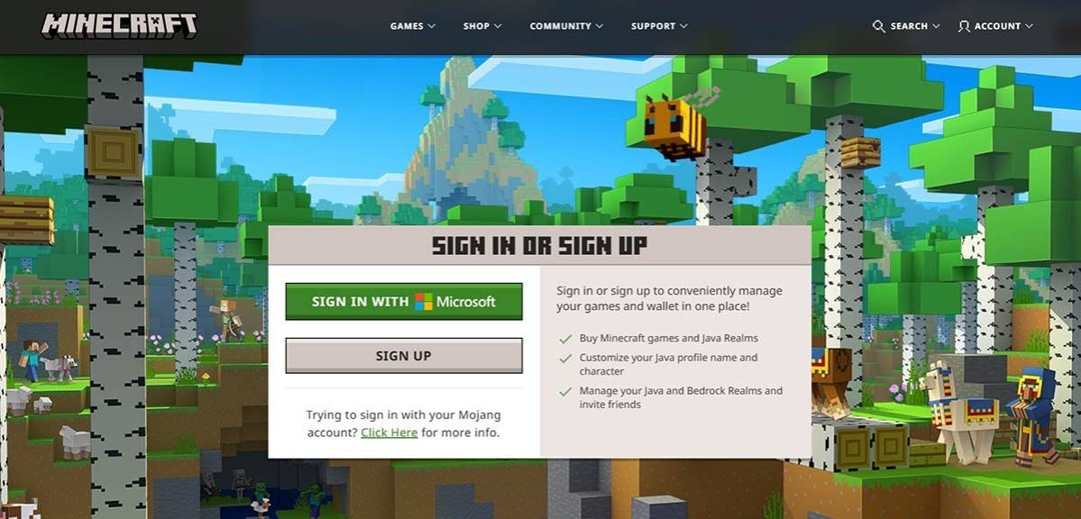 Registering for Minecraft