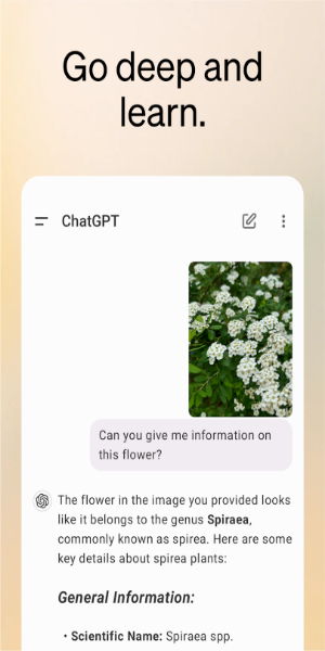 ChatGPT Screenshot 2