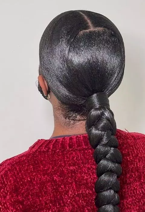 Sleek Braided Ponytail Styles Скриншот 2