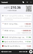 Testnet Wallet スクリーンショット 0