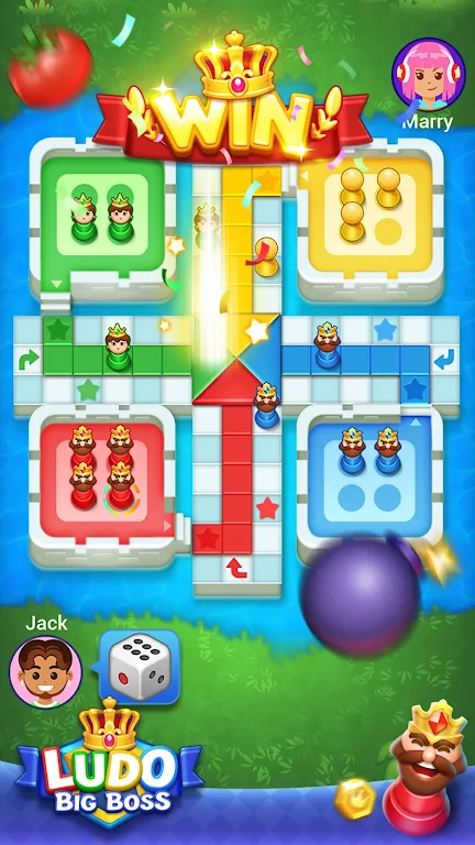 Ludo big boss Screenshot 1