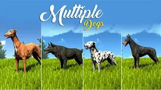 Wild Dog Pet Simulator Games ဖန်သားပြင်ဓာတ်ပုံ 0