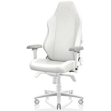 Secretlab Chairs and Desks