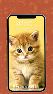 Kitty Cat Pin Lock Screen ဖန်သားပြင်ဓာတ်ပုံ 0