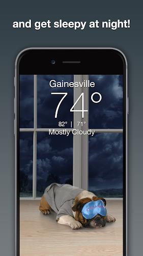 Weather Puppy - App & Widget ဖန်သားပြင်ဓာတ်ပုံ 2