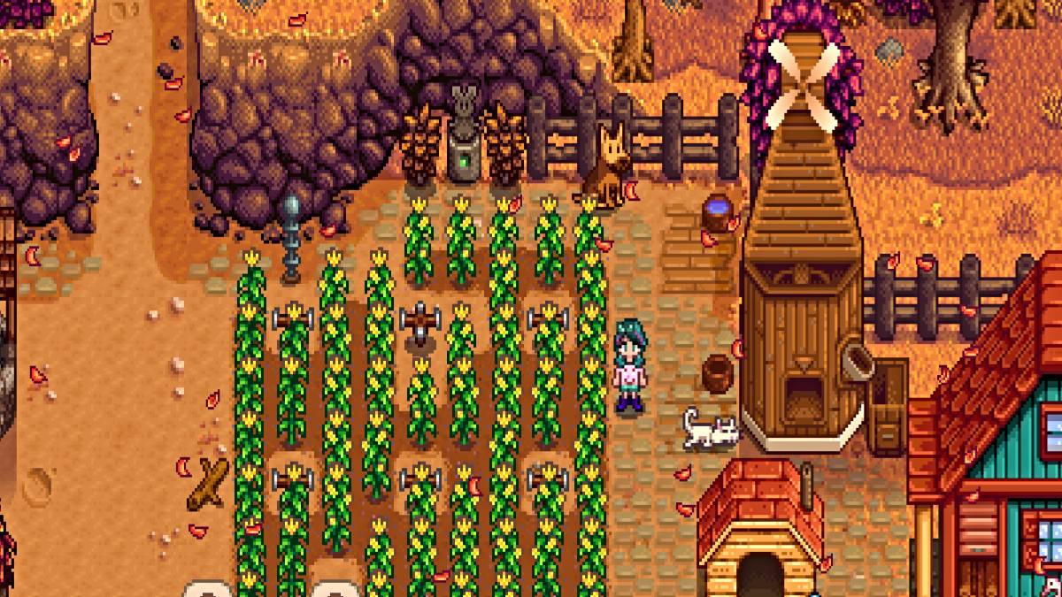 Cara Mendapatkan Haiwan Peliharaan Di Stardew Valley