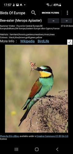 Birds Of Europe Guide स्क्रीनशॉट 2