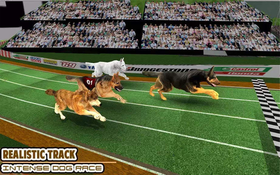 Dog racing games - dog game 3d Captura de pantalla 0