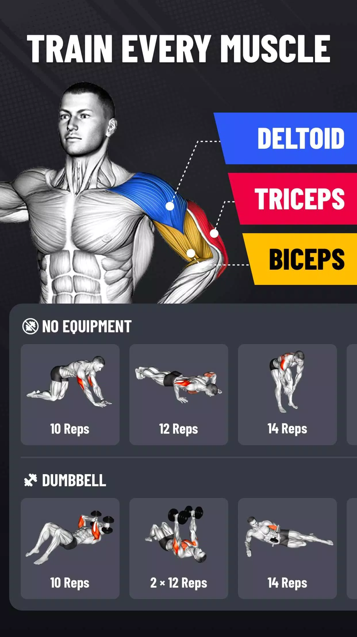 Arm Workout - Biceps Exercise Screenshot 1