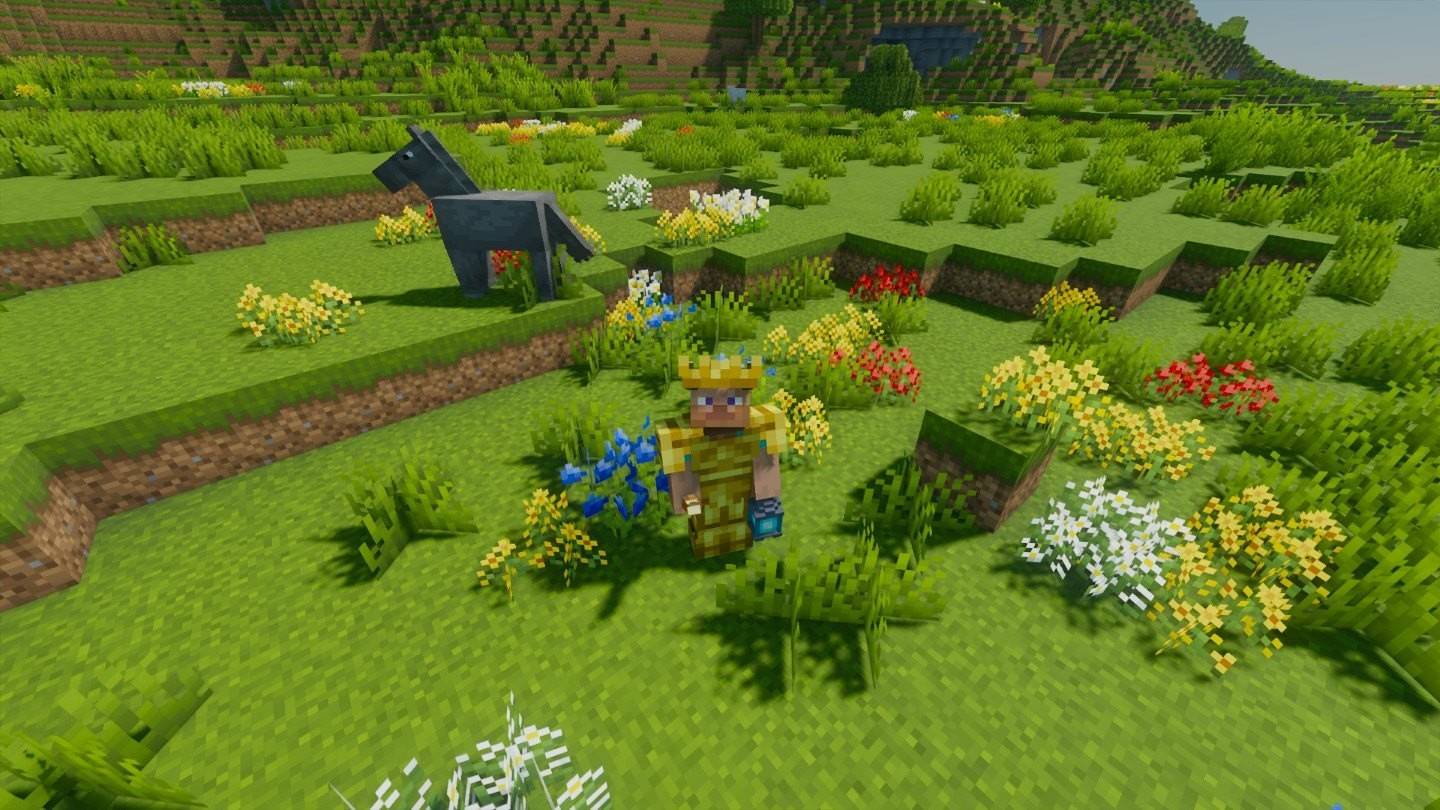 Minecraft中有什麼樣的花