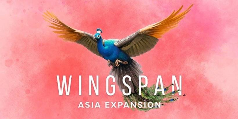 Wingspan anunciou uma nova expansão da Ásia que será lançada neste verão