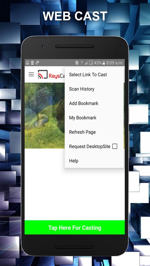 RaysCast For Chromecast Скриншот 2