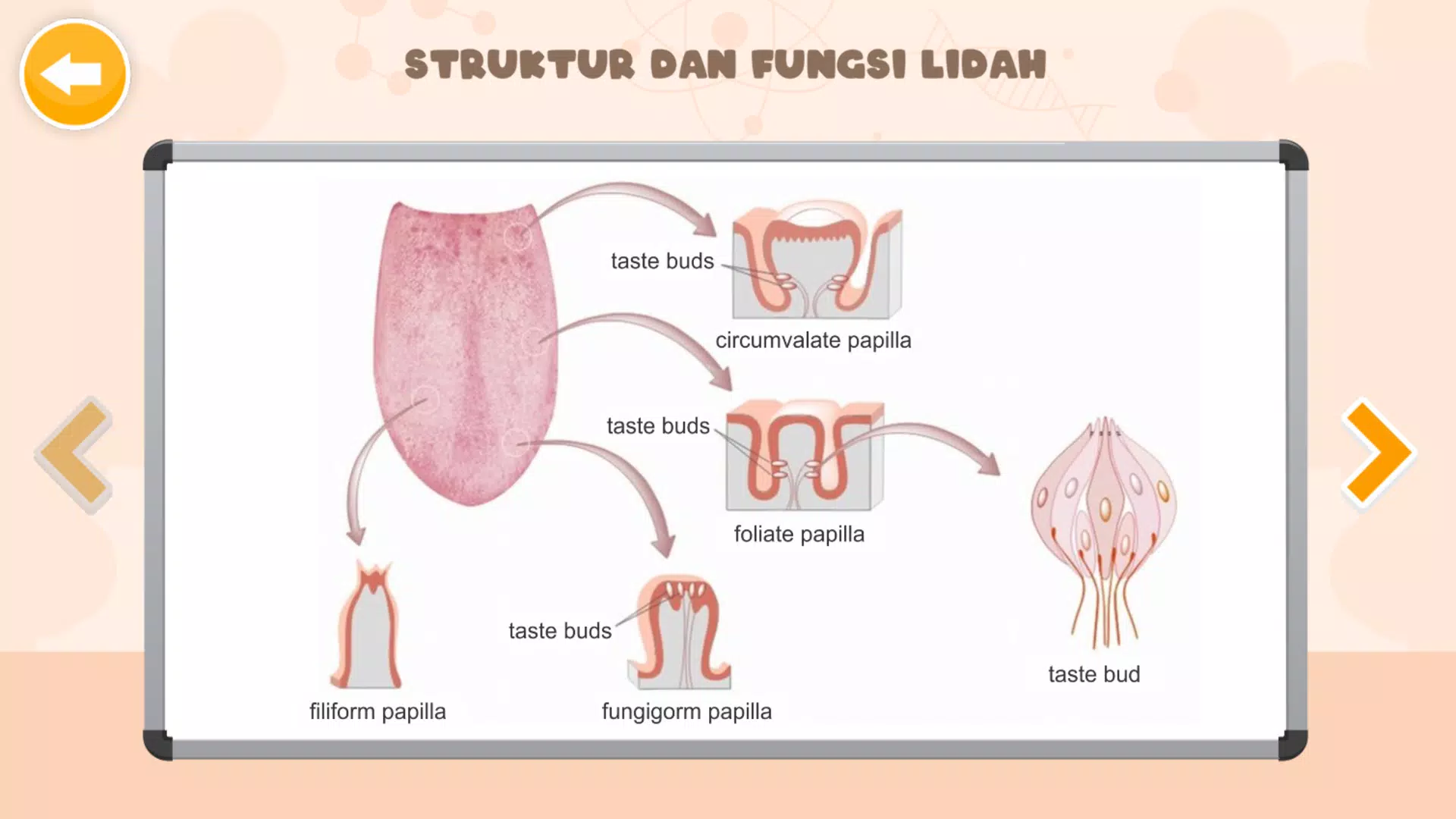 Schermata Sistem Indra Manusia 3